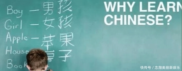 大学生|无语!老外吐槽道:汉语缺乏集中性和稳定性!外国网友评论扎心!