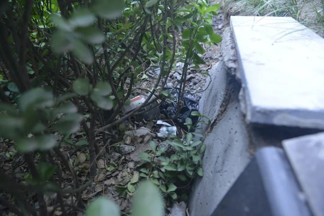 无公益广告|【曝光台】万达广场不文明现象处处存在！