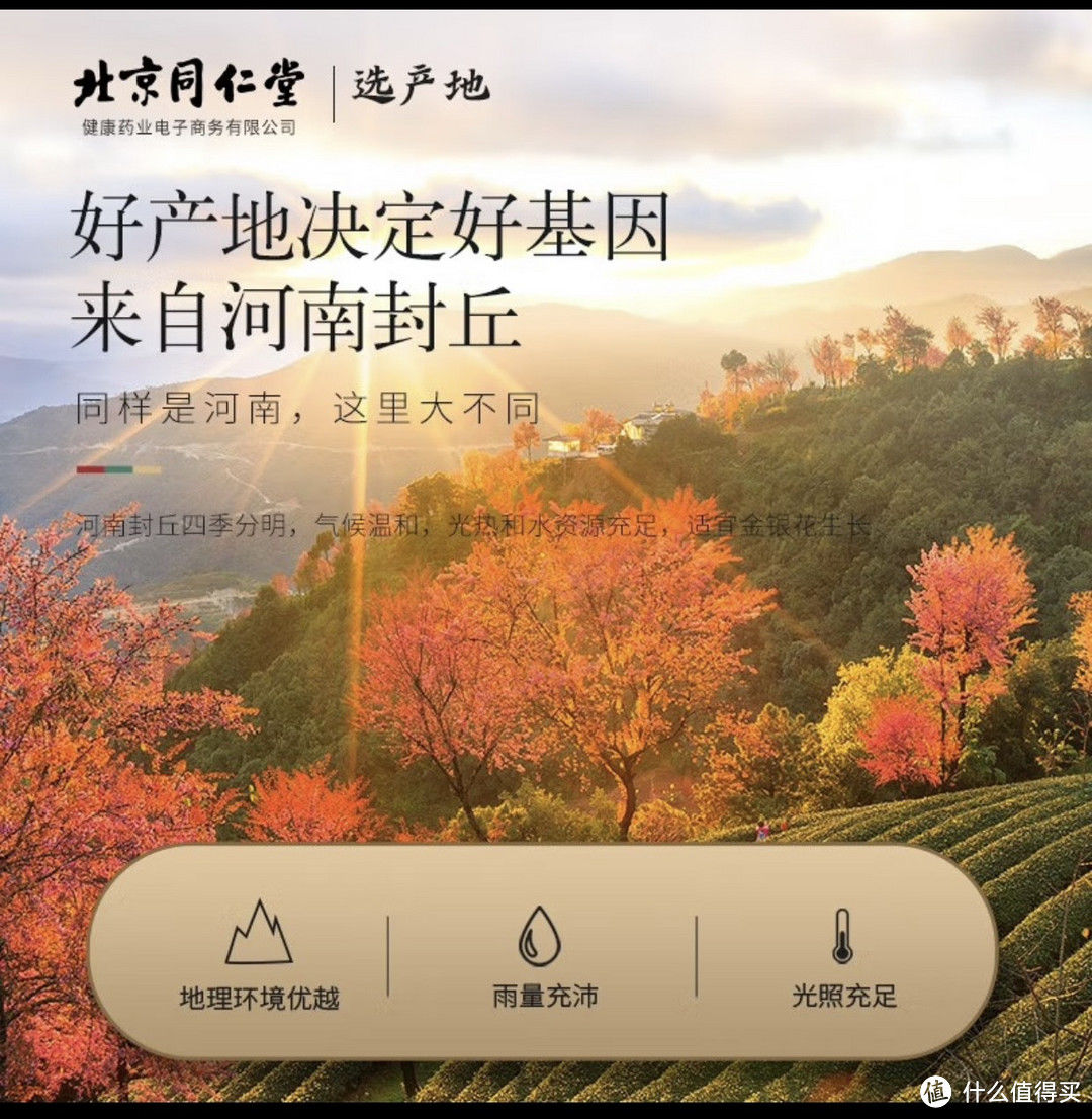 喝金银花茶养生2023