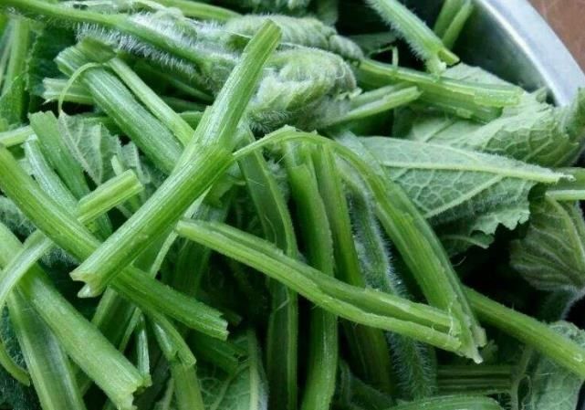  小蛮|立秋后，碰到它必买10斤，是菜是药，湿气消失了，帮你瘦出小蛮腰
