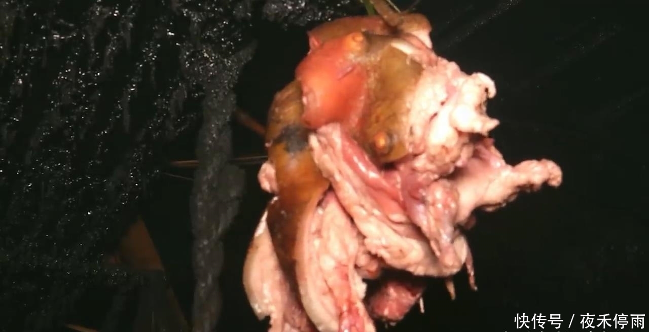 村长|中国小伙砍十斤黑猪肉拜访尼泊尔村长,村长用猪肉炒面招待我