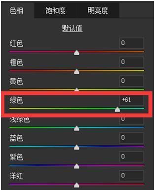 篇文章|想要在阴天拍出小清新,快来看看这篇文章