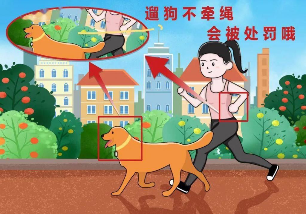 元以下罚款|我猜你闯不过第三关