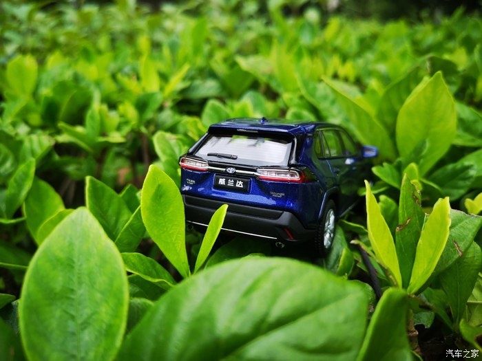 拍摄|拥有威兰达车模,绽放花丛中,说说感受