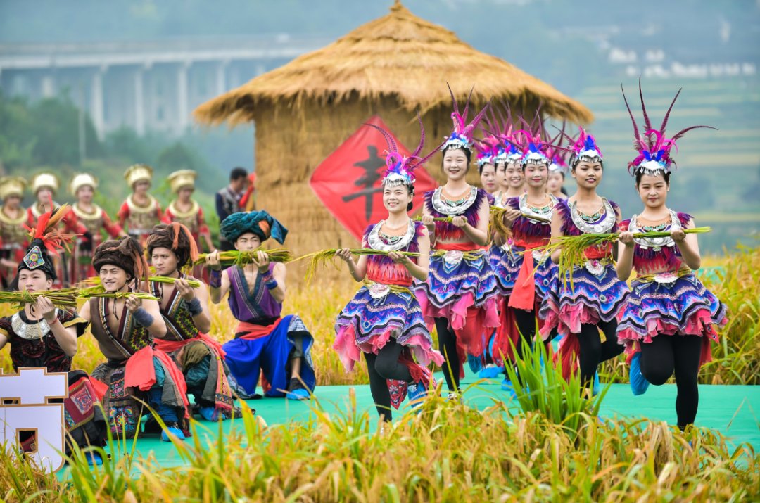 声音|假如丰收有声音，一定是这样婶儿的