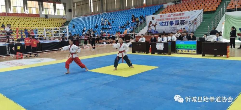 忻城县|忻城县“武林大会”圆满落幕！忻城精英跆拳道获得总分第一名