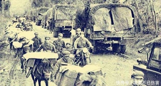  踩踏|撤离越南，工兵埋雷被水牛踩踏，枪扫水牛：要把地雷留给越军