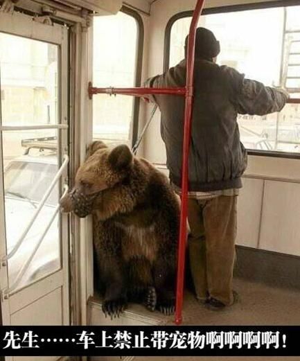 孩子|熊孩子玩捉迷藏，要不要发现他?