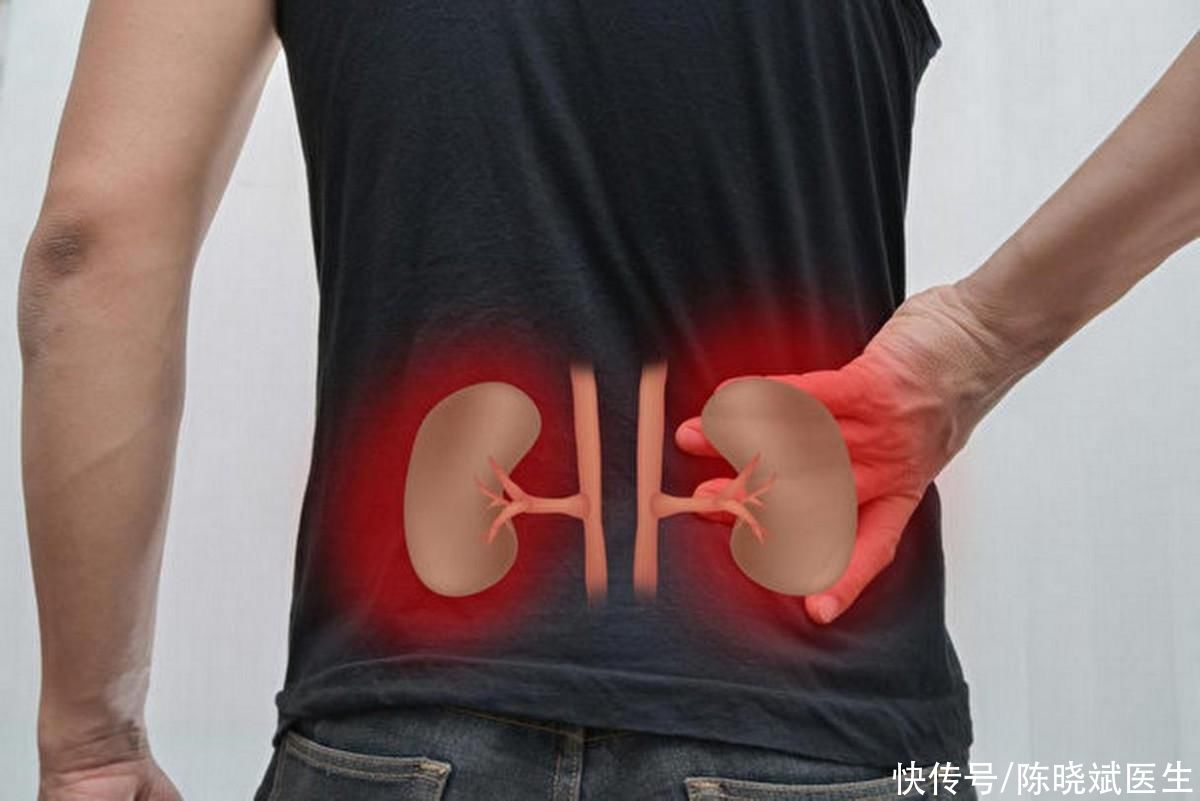 尿频耳鸣腰膝酸软是什么原因(导致头晕耳鸣、腰膝酸软的罪魁祸首就是你的肾脏)
