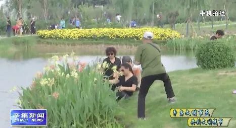 曝光|曝光!辛集最“年轻”的公园里,这些不文明行为…【辛集热门】