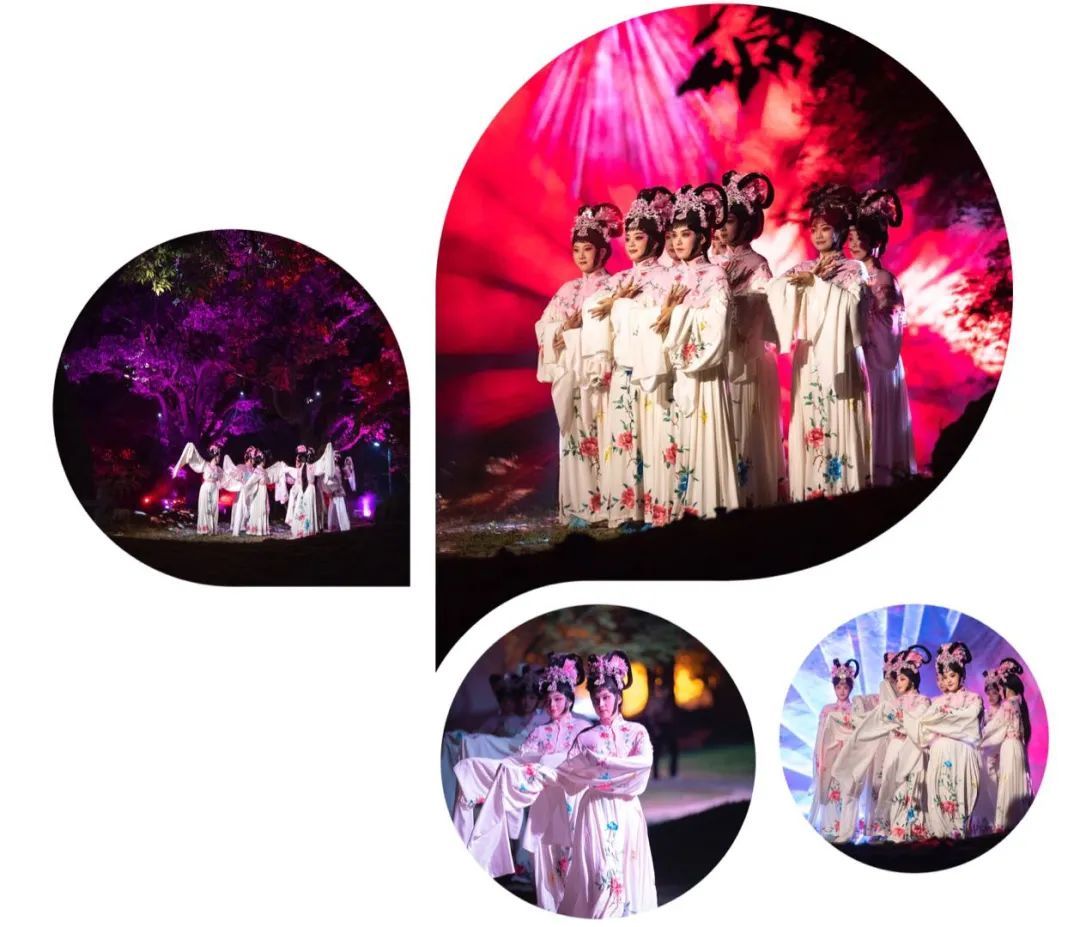  导演|今晚8?点！丽水街！《牡丹亭·惊梦》！不见不散