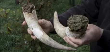 葡萄酒行业|大家都在聊自然酒,这6个问题你都不知道