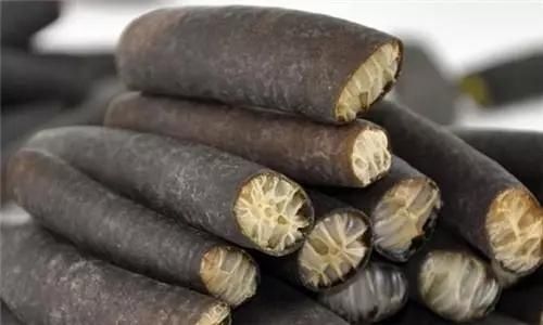 极少|这种深海“松茸”,产量极少,能买到的都是野生的