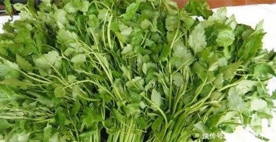 玄机|为什么超市的蔬菜喜欢用胶带绑起来,离职员工一句话暴露其中玄机