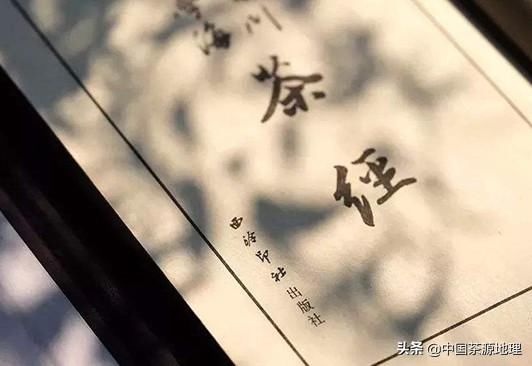 好坏|如何辨别茶叶的好坏？学会了这4种方法，轻松买到好茶