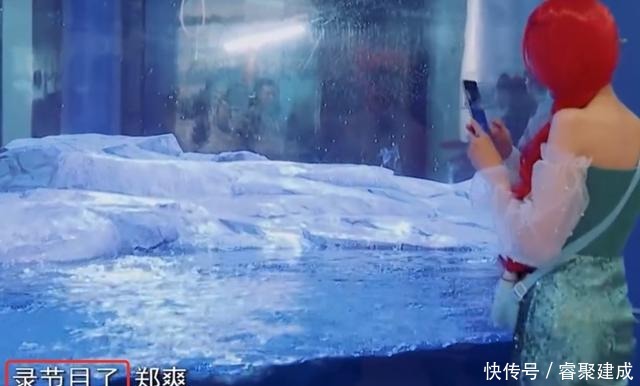  杨迪|郑爽录制节目不上心，贾玲节目组先后帮忙圆场，杨迪最终说了实话