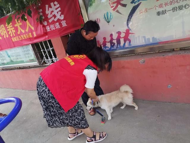  养犬|文明养犬 让我们的城市更美好