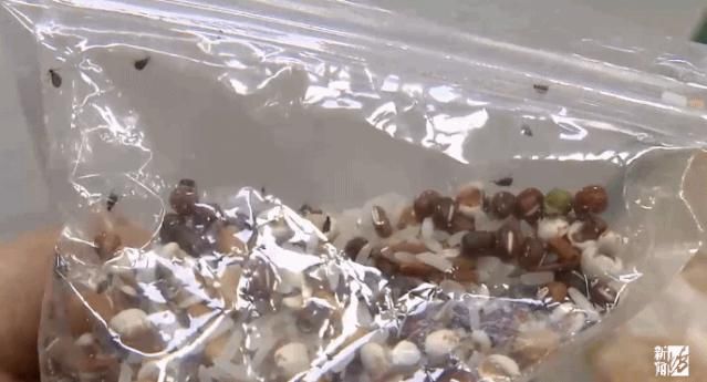 散装|沪上知名超市散装杂粮爬满小虫！店家说都不要紧！坊记来了，没想到…