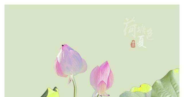 一段话|很现实的一段话,说得真好,今天被刷屏了