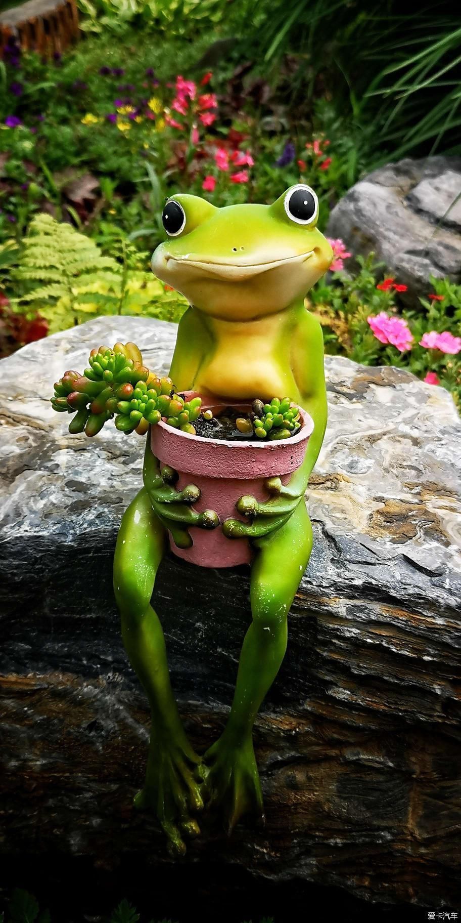  博物馆|游览中国园林博物馆