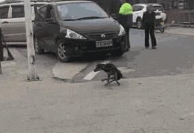  来换|“用身体的一部分来换一个亿，你愿意用哪个部位？”哈哈哈哈网友豁出去了！