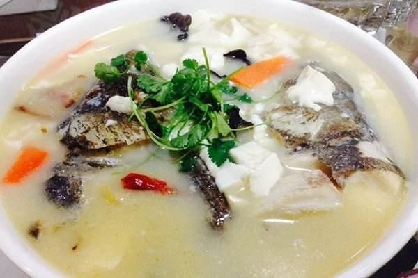  常见|盘点四大常见且最有营养的鱼，养生才是王道