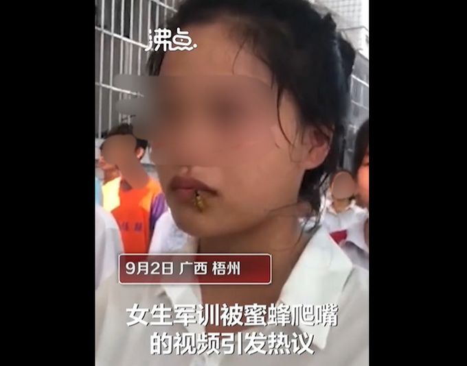 教官|教官回应女生军训被蜜蜂爬脸,网友:动了反而可能被蛰