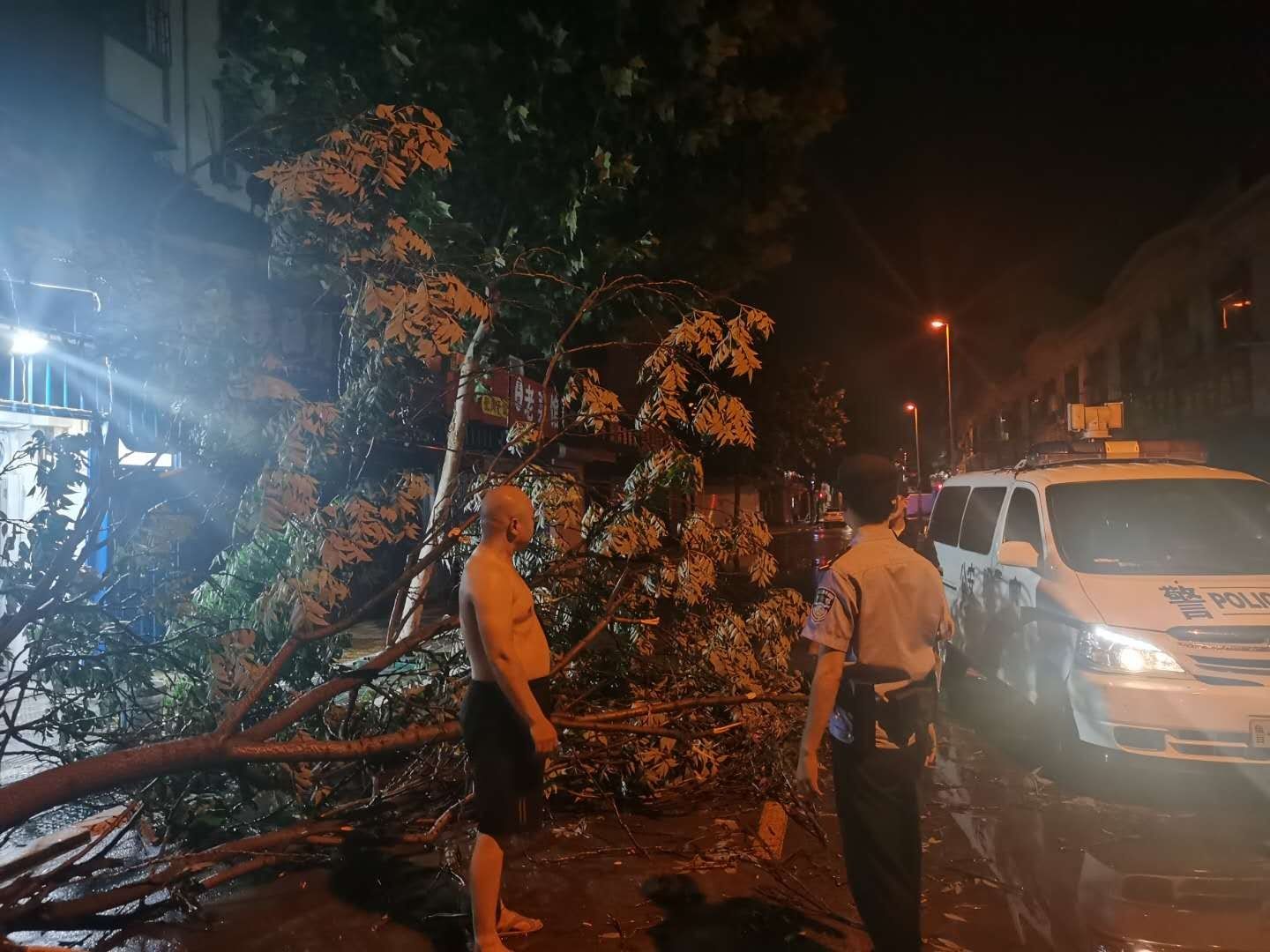 大树“随风倒”横卧路面 民警冒雨前来清除保畅通|第一现场 | 路面