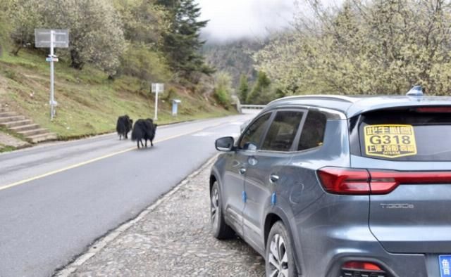 完结|瑞虎8一万五千公里自驾西藏篇,完结分享篇