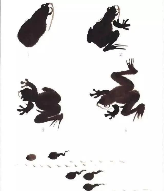  画法|怎么画鱼虾蟹蛙、写意《趣》画法