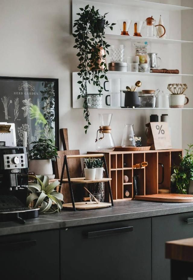  吊钟|她们的家，美得很让人种草