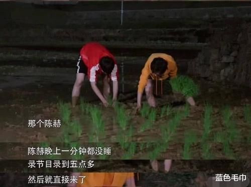  嘉宾|陈赫凭啥能当《向往4》收官嘉宾？原来他为节目牺牲了这么多