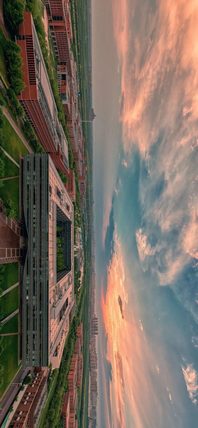 北洋园|啊,我的天大啊!