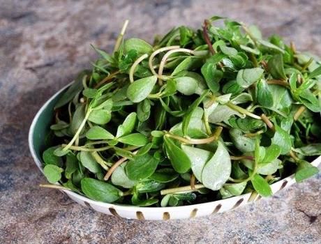 清热|夏天,正当时的野菜,农村到处是,清热消暑还营养,热天吃特好