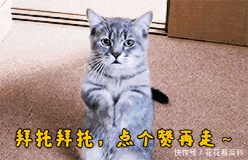 妹子|妹子,大晚上的,你穿这么清凉怎么躺在马路上,多危险啊!