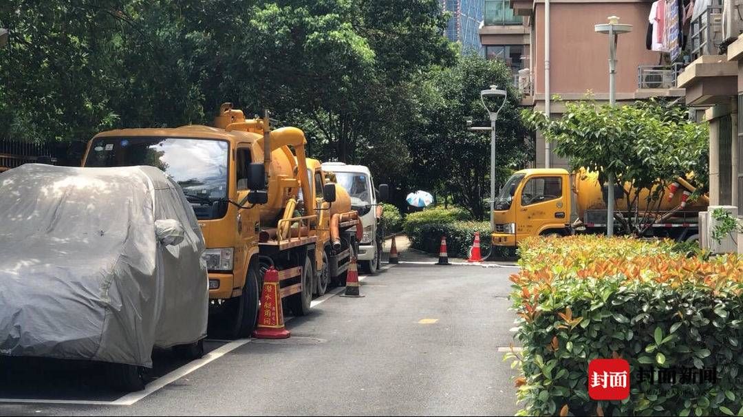 女子|杭州警方通报“女子失踪案”:冲刷38车粪水,找到人体组织