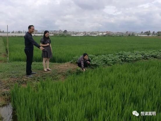 看点|【本期看点】“青春之我 美丽嵩明”短视频大赛颁奖仪式举行