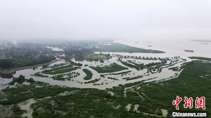 时间|江苏里下河地区水位全线上涨 扬州出梅时间未定