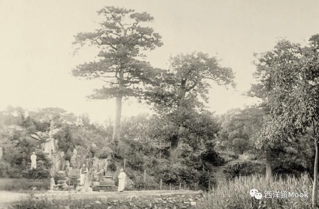  院子|111年前的北京动物园旧影