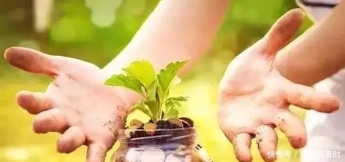 农业|“认养农业”和“订单农业”,可以梦想成真吗?