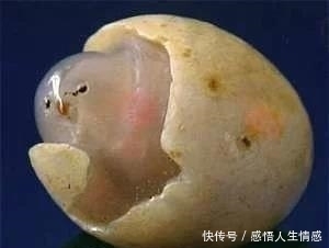  东坡肉形石|金庸收藏·中国价值过亿的四大奇石