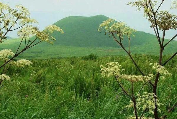 能量|有小小正能量的短句,适合做个性签名