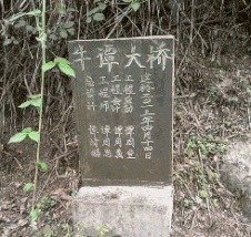 舞姿|搞笑GIF:这舞姿,真是把我迷晕了!