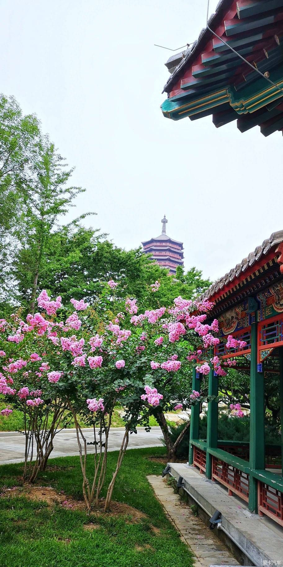  博物馆|游览中国园林博物馆