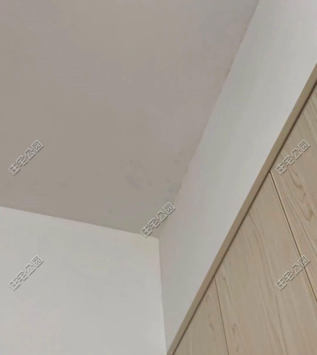 小伙|晒家丨广东这位95后小伙, 花75万为爷爷奶奶建房养老, 孝心太难得