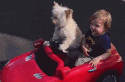  搞笑|搞笑GIF：孩子，你怎么那么懒呢？你就放心啊！