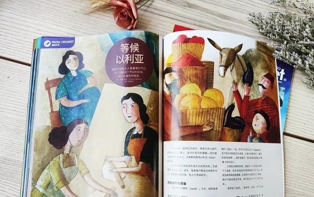  美国|美国顶尖儿童杂志授权，满足6-12岁孩子所有好奇心