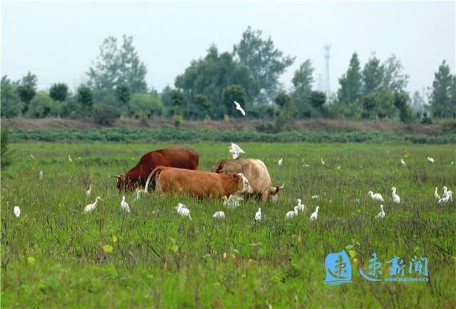  图说|图说｜生态环境 和谐家园