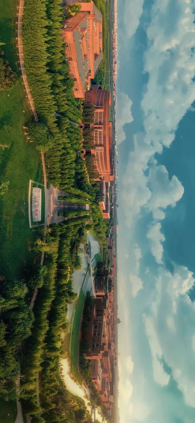 北洋园|啊,我的天大啊!