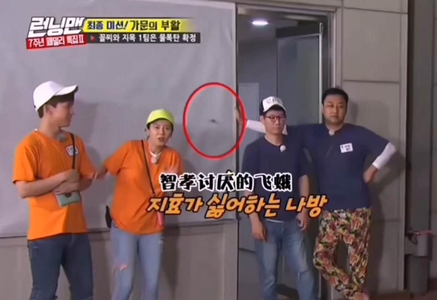  向宋智孝|宋智孝不愧是《RM》里面的团宠